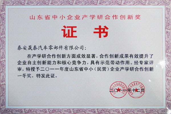 First Prize of Industry, University and Research Cooperation Innovation of Small and Medium-sized Enterprises in Shandong Province